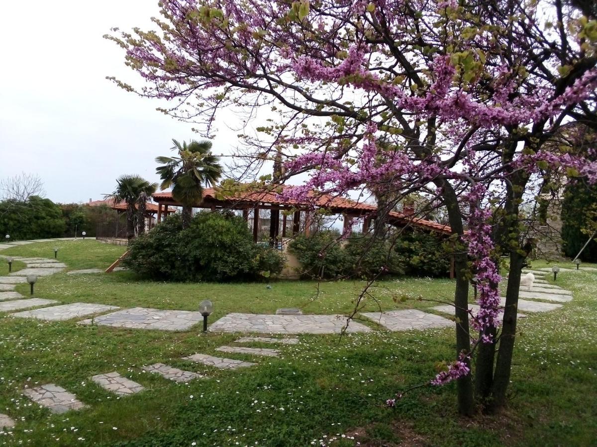 Villa Anna Leptokaryá Buitenkant foto