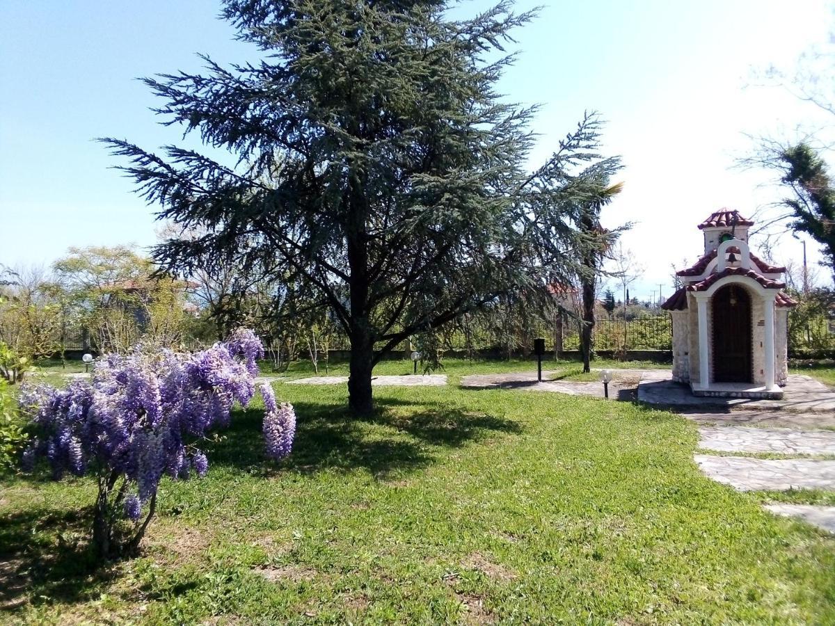 Villa Anna Leptokaryá Buitenkant foto