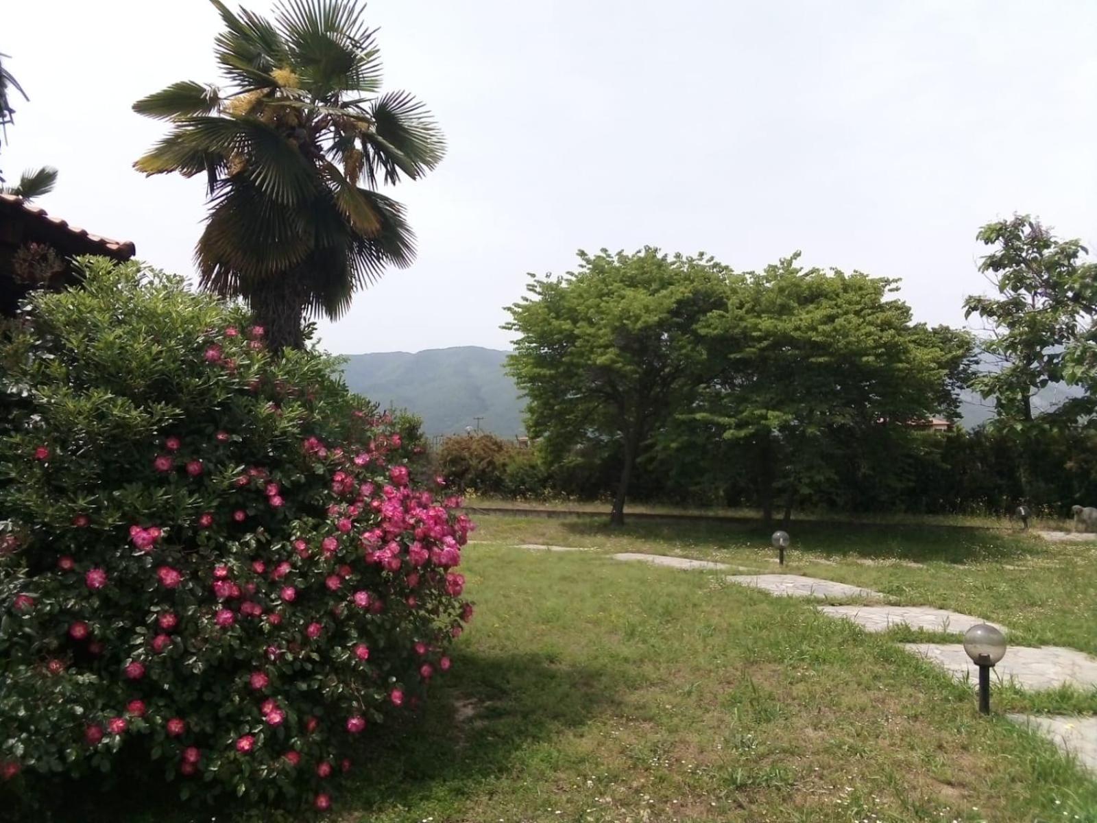 Villa Anna Leptokaryá Buitenkant foto