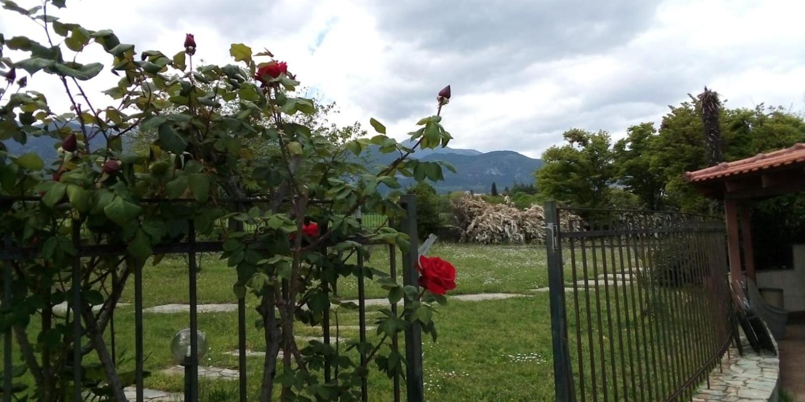 Villa Anna Leptokaryá Buitenkant foto