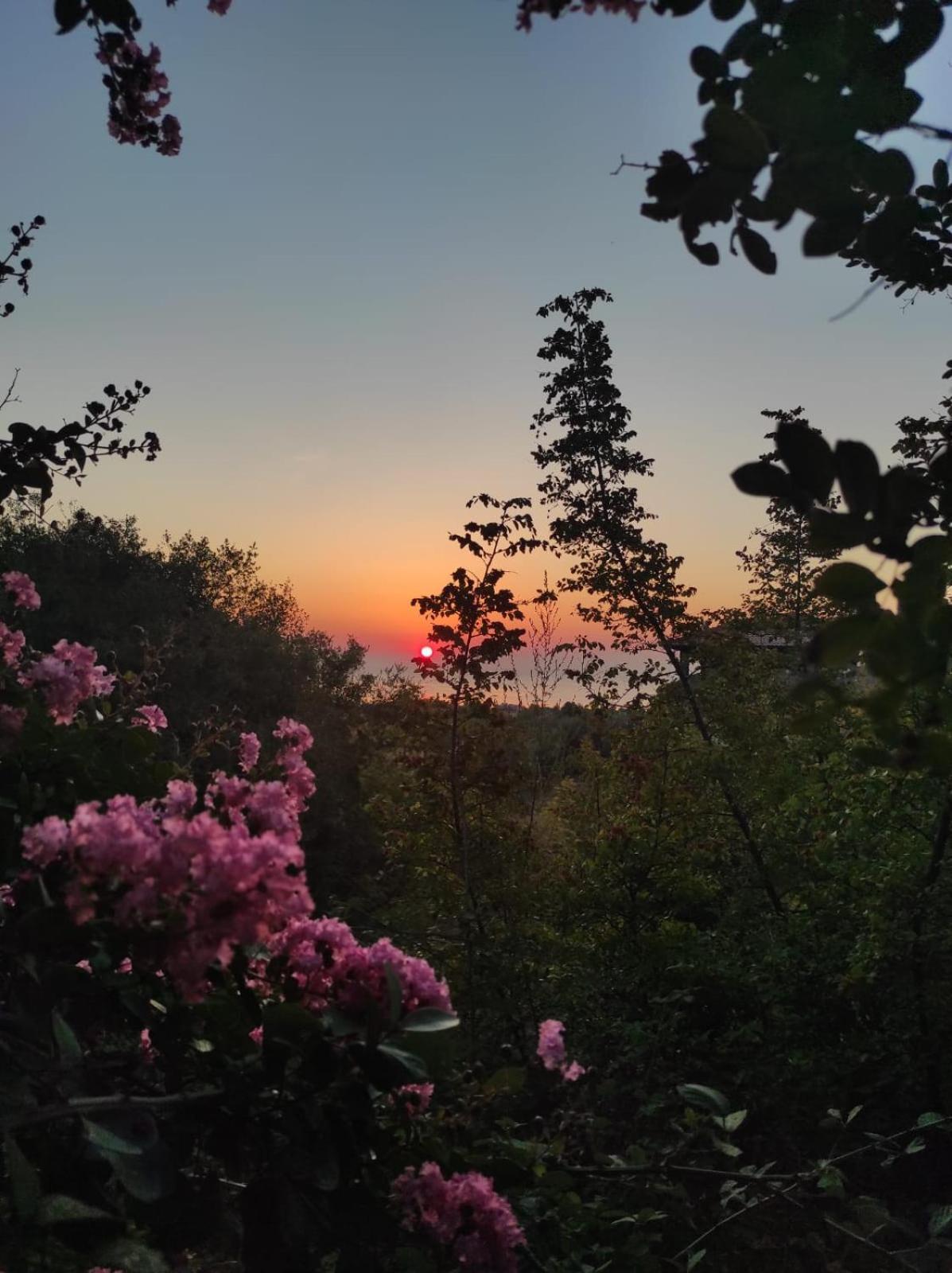 Villa Anna Leptokaryá Buitenkant foto
