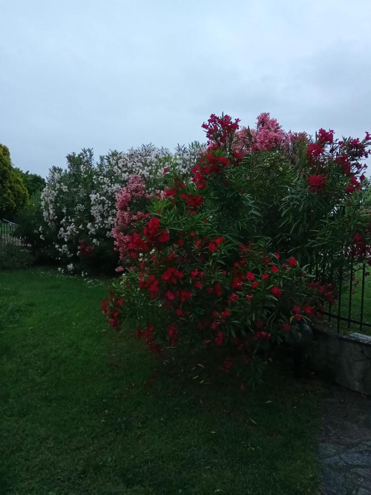 Villa Anna Leptokaryá Buitenkant foto