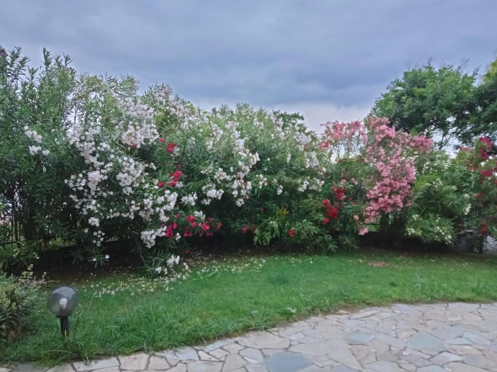 Villa Anna Leptokaryá Buitenkant foto